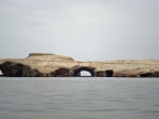 36_ballestas_inseln-1349