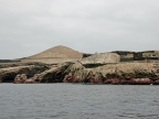 36_ballestas_inseln-1350