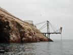 36_ballestas_inseln-1351