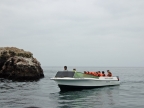 36_ballestas_inseln-1354