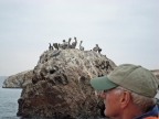 36_ballestas_inseln-1355