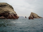 36_ballestas_inseln-1368
