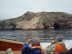 36_ballestas_inseln-1379