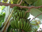 37_fahrt_ica-1412