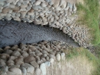 41_nazca-1508