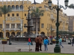 10_lima-356