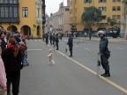 10_lima-365