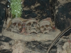 28_ollantaytambo-1156
