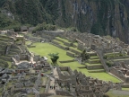 31_machu_picchu-1130