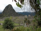 31_machu_picchu-1155