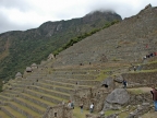 31_machu_picchu-1169