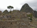 31_machu_picchu-1175