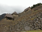 31_machu_picchu-1176