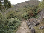 31_machu_picchu-1177