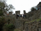 31_machu_picchu-1185