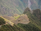 31_machu_picchu-1192