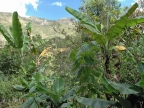32_aguas_caliente-1246