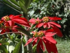 32_aguas_caliente-1247
