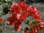 32_aguas_caliente-1252