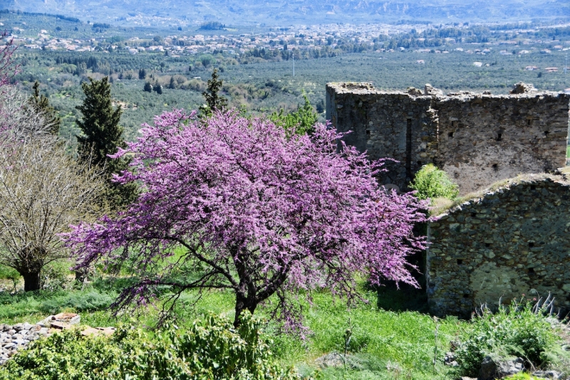 Tag-07-Mystras-0489