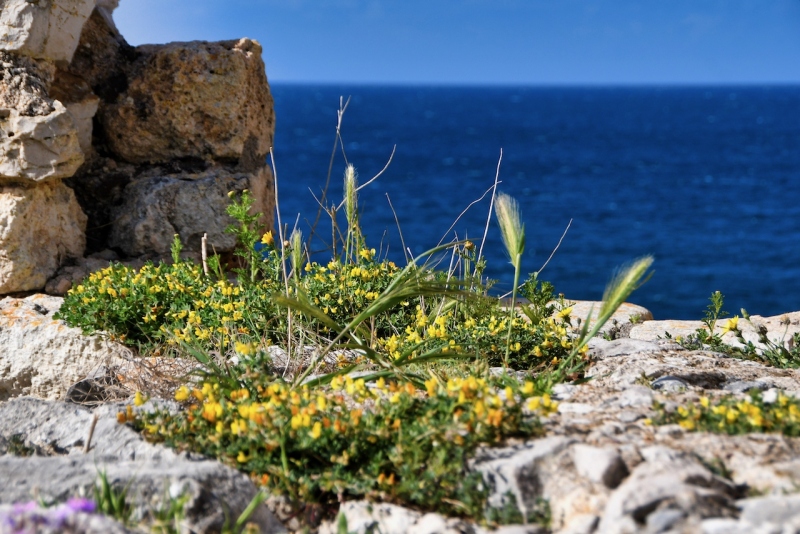 Tag-10-1-Festung-Pylos-0672