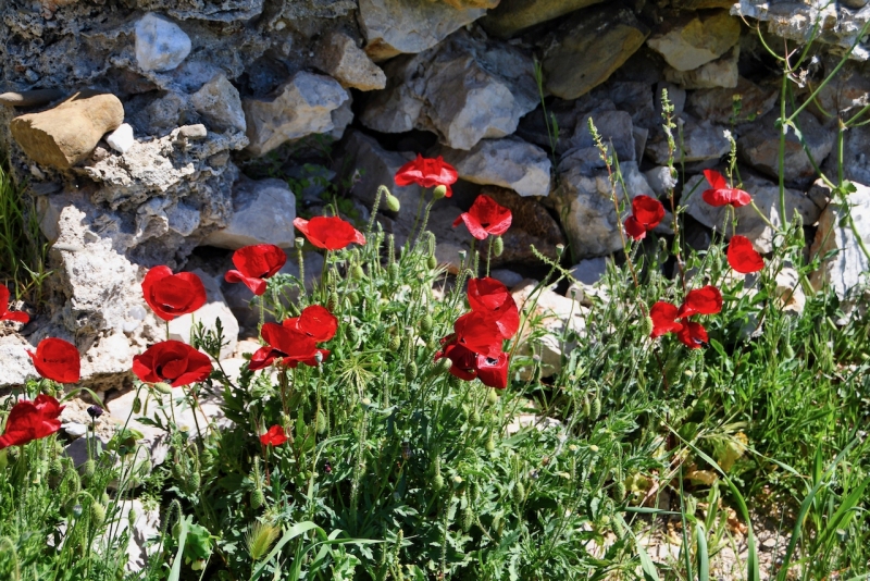 Tag-10-2-Festung-Methoni-0719