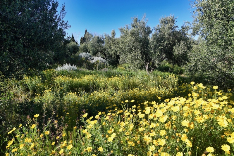 Tag-10-2-Koroni-0770