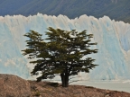 argentinien-2011-1485-perito-moreno