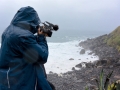 Azoren Tag 02-2 Fahrt Nordkueste 0130