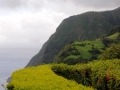 Azoren Tag 02-4 Fahrt Nordkueste 0235