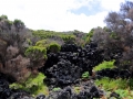 Azoren Tag 12-6 Wanderung Lajido 1297
