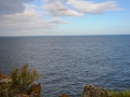 Azoren Tag 13-5 Calheta 1433
