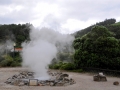 Azoren Tag 06-2 Calderas Furnas 0561