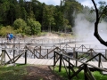 Azoren Tag 06-3 Lagoa das Furnas 0637