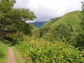 Azoren Tag 07-4 Wanderung Faial da Terra 0768