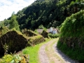Azoren Tag 07-4 Wanderung Faial da Terra 0798