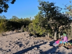 mexiko-2012-tag-03-fahrt-0378