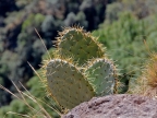 mexiko-2012-tag-05-cerocahui-0550