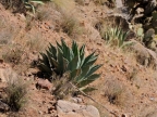 mexiko-2012-tag-05-cerocahui-0552