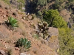 mexiko-2012-tag-05-cerocahui-0553