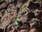 mexiko-2012-tag-05-cerocahui-0557