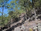 mexiko-2012-tag-05-cerocahui-0563