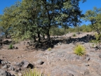 mexiko-2012-tag-05-cerocahui-0565