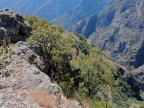 mexiko-2012-tag-05-cerocahui-0577