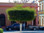 mexiko-2012-tag-06-el-fuerte-0628