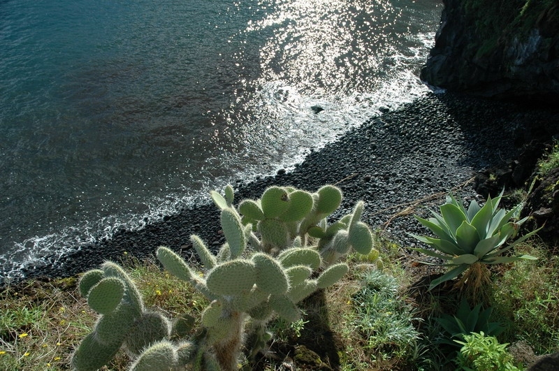 madeira_nov06-120