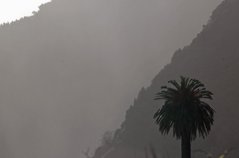 madeira_nov06-130