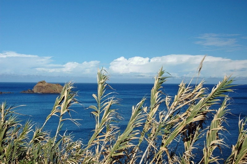 madeira_nov06-144