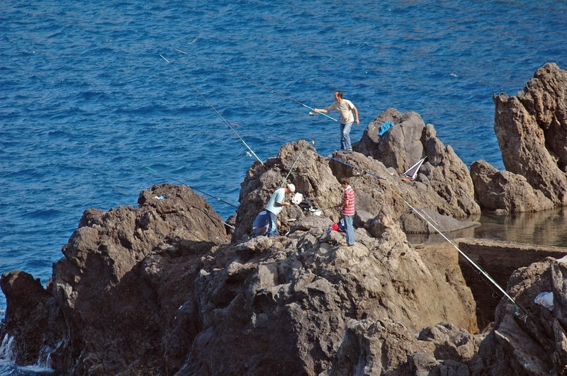 madeira_nov06-156