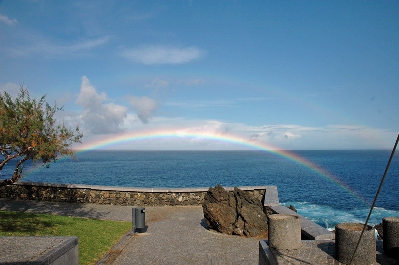 madeira_nov06-157